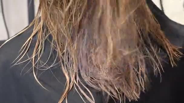 Kuaför erkek saç modeli saç kurutma makinesi salonda orta yaş kadın için yapar - Video, Çekim