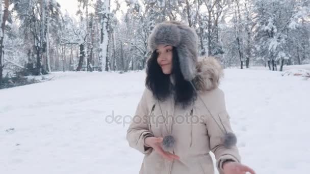 portrait of beautiful young in hat woman at winter snowy forest - Footage, Video