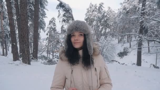 πορτρέτο του όμορφη νέους σε γυναίκα καπέλο χειμώνα χιονισμένο δάσος - Πλάνα, βίντεο