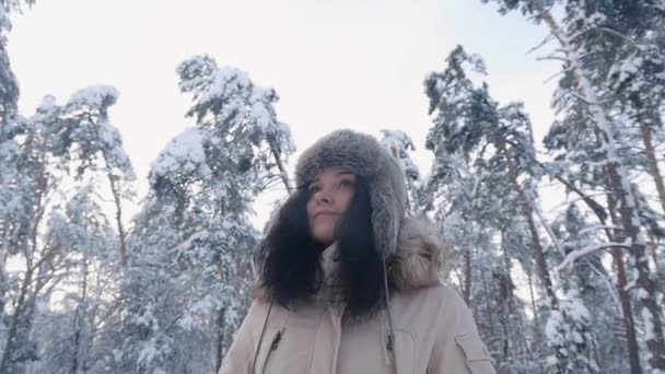 Une jeune femme coiffée d'un chapeau marche dans la forêt d'hiver. Portrait d'une fille en hiver dans le parc
. - Séquence, vidéo