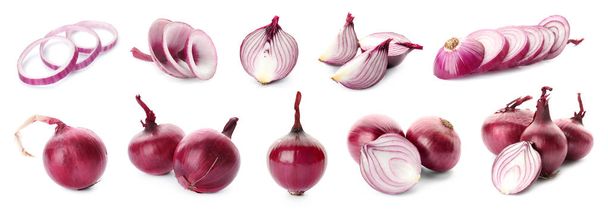 Collage with red onion on white background - Foto, Imagem