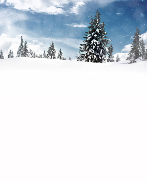 winter christmas landscape - Фото, зображення