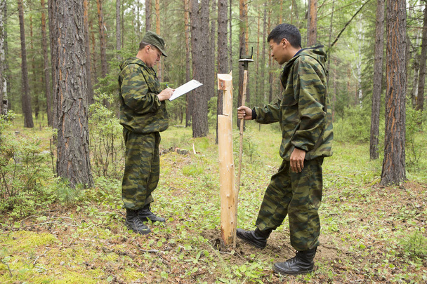 Forest inspectors work in the forest. - Photo, Image