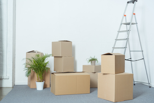 cardboard boxes, ladder and potted plants in empty room during relocation - Foto, afbeelding