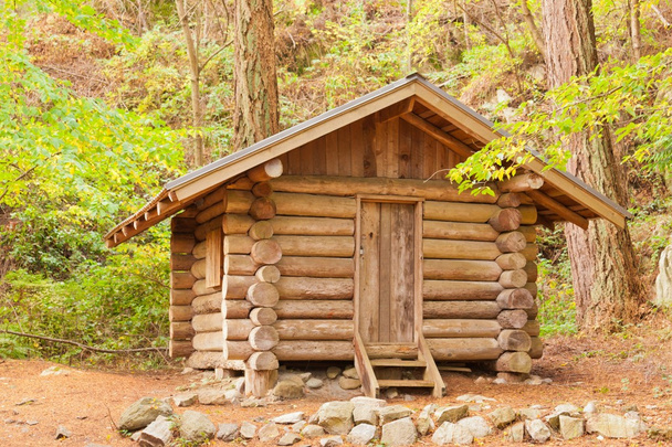 Vecchio rifugio capanna in legno massello nascosto nella foresta - Foto, immagini