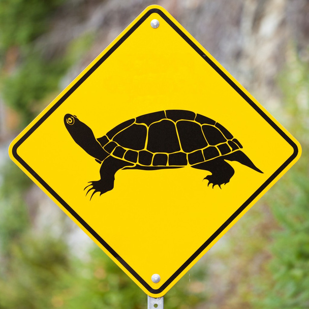 προσοχή χελωνών διέλευση ζώων πινακίδα - Φωτογραφία, εικόνα
