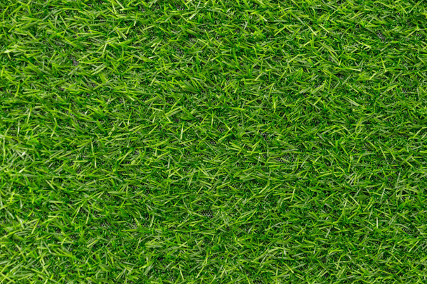Green grass texture background pattern - Foto, immagini