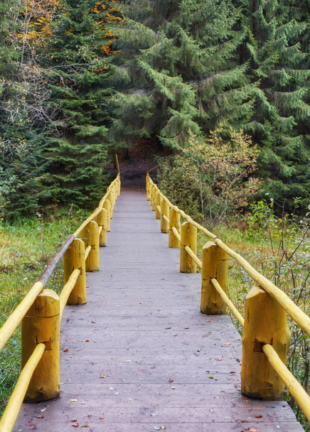 Herfst landschap - houten brug in het najaar park onder de vergeelde bomen en de gevallen bladeren - Foto, afbeelding