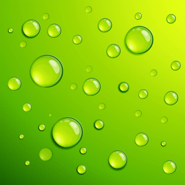 Fresh green dew dros - Vector, Image