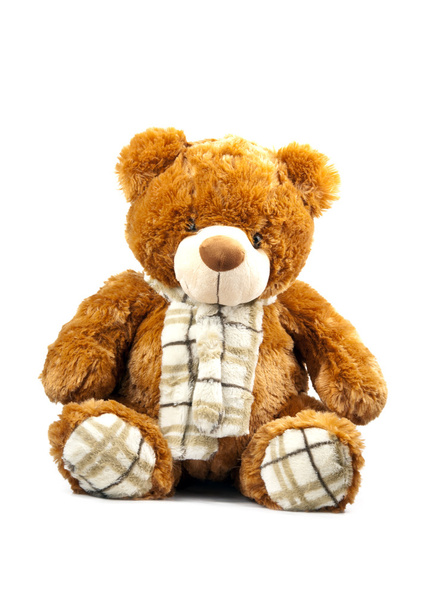 Teddybär-Spielzeug - Foto, Bild
