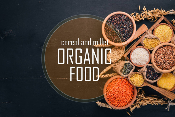 Cereal and millet. Organic food. Buckwheat, lentils, rice, millet, barley, corn, black rice. Top view. - Valokuva, kuva