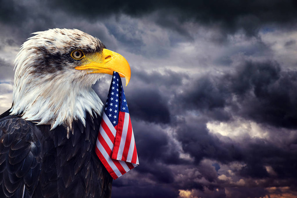 Φαλακρός αετός κρατά στο ράμφος της σημαίας των Ηνωμένων Πολιτειών για το φόντο σκοτεινό συννεφιασμένο ουρανό. Πατριωτική αντίληψη. - Φωτογραφία, εικόνα