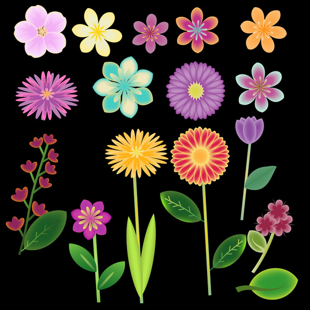 Цветы - Вектор,изображение