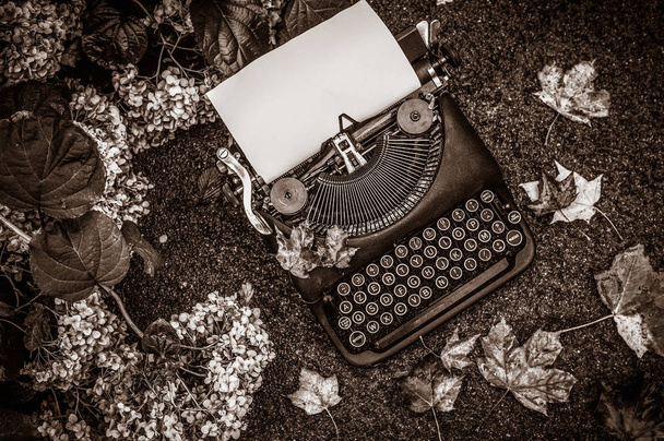 Vintage typewriter in on autumn background with fallen leaves - Photo, Image