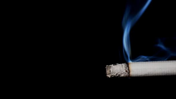 Zigarette rauchend auf schwarzem Hintergrund. der Rauch in der Hintergrundbeleuchtung ist deutlich sichtbar. - Filmmaterial, Video