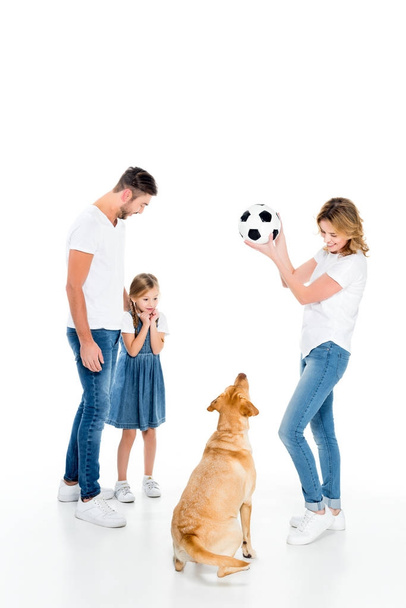 ευτυχισμένη οικογένεια και golden retriever σκύλου παίζει με μπάλα ποδοσφαίρου, που απομονώνονται σε λευκό - Φωτογραφία, εικόνα