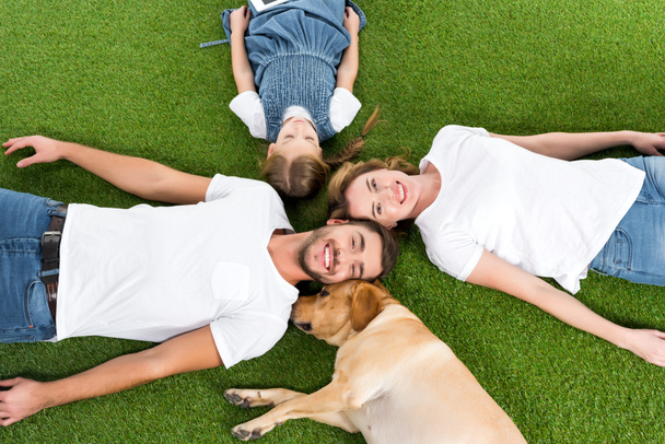 Overhead View Of Happy Family With Dog Free Stock Photo and Image
