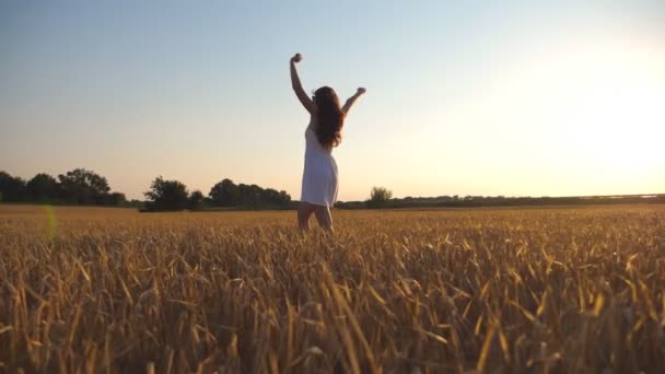 Tunnistamaton kaunis tyttö kävelee pitkin vehnäpeltoa ja nostaa kätensä. Nuori nainen menossa niitylle nauttimaan vapaudesta. Kesävapaa-aika luontokonseptissa. Sivunäkymä Sulje hidastus
 - Materiaali, video
