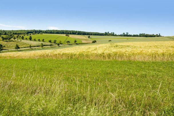 napos vidéki táj - Fotó, kép