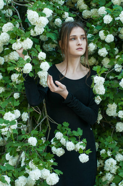 Chica joven sobre un fondo de viburno blanco floreciente en la temporada de primavera
. - Foto, imagen