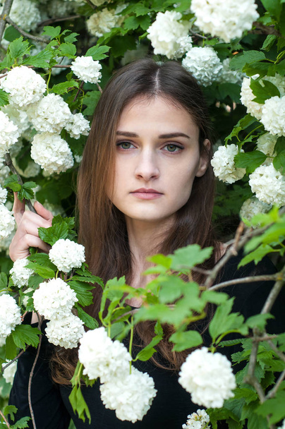 Young girl on a background of blooming white viburnum in the spring season. - Φωτογραφία, εικόνα