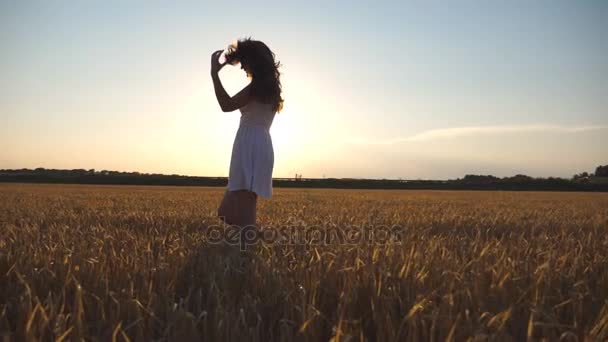 Kaunis tyttö kävelee vehnäpellolla sinisen taivaan alla auringonlaskun aikaan. Nuori nainen menossa niitylle. Kesävapaa-aika luontokonseptissa. Sivunäkymä Sulje hidastus - Materiaali, video