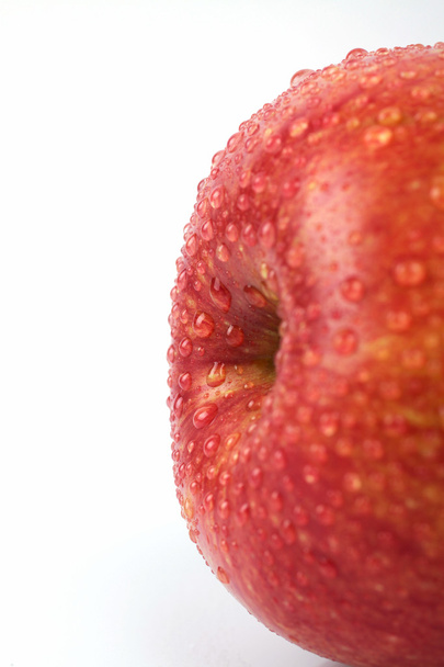 Jonagold apple - Foto, imagen