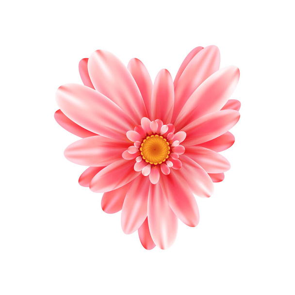 Gerbera Blume Herz isoliert   - Vektor, Bild
