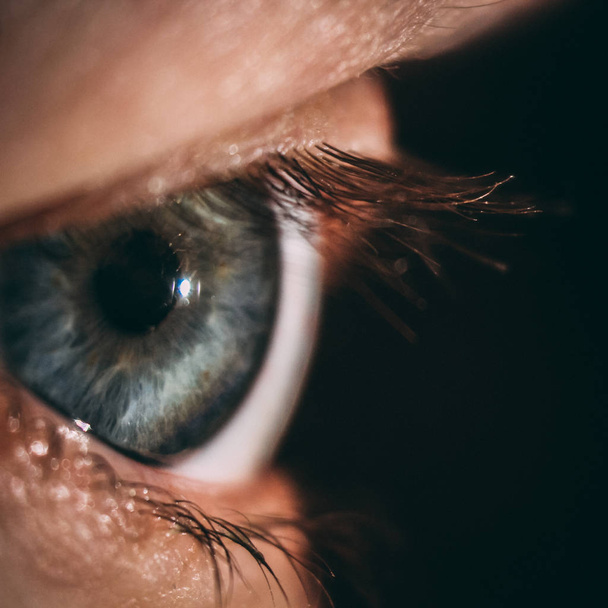 vergrote beeld van de iris van een oog met een spleetlamp gemaakt - Foto, afbeelding