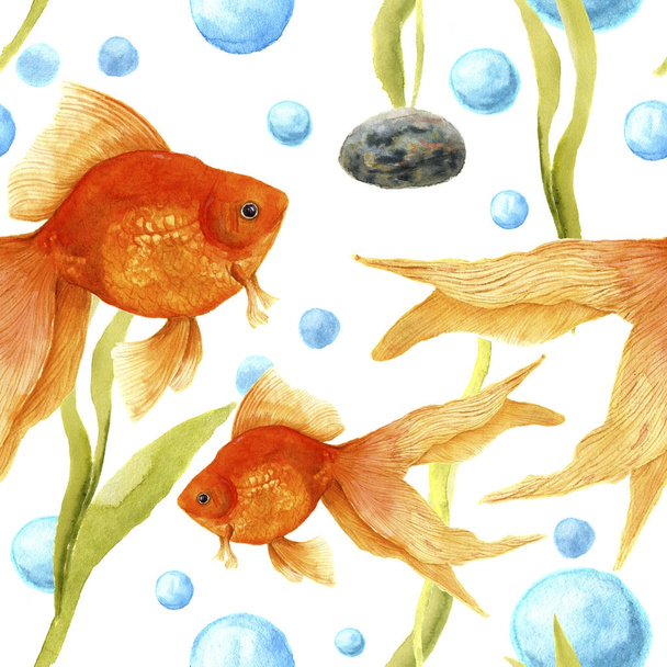 Akvaryum suluboya desenle. Japon balığı, taş, yosun ve hava kabarcıkları. Sanatsal elle çizilmiş şekil. Tasarım, tekstil, yazdırma. - Fotoğraf, Görsel