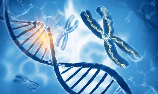 DNA:n kaksoiskierukkamolekyylit ja kromosomit
 - Valokuva, kuva