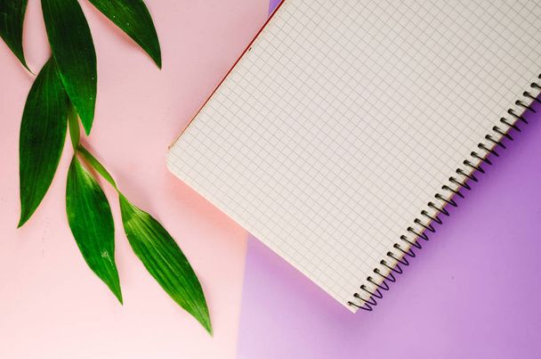 blocco note vuoto per un diario personale. posto di lavoro. minimalismo. vista dall'alto. rosa sfondo viola
 - Foto, immagini