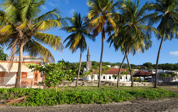 Iglesia de Santo Tomás y palmeras en primer plano, ciudad de Diamant, isla de Martinica
. - Foto, imagen