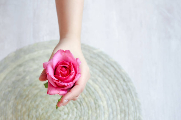 The pink rose in hand on a light background - Φωτογραφία, εικόνα