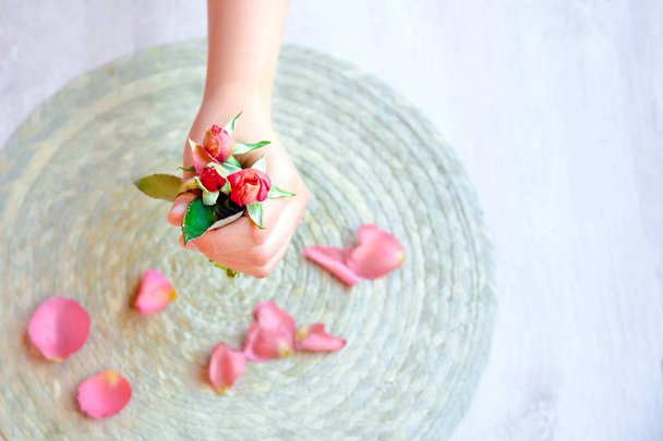 The pink rose in hand and rose petals on a light background - Foto, Imagen