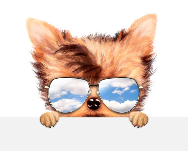 Divertido perro usando gafas de sol detrás de la bandera
 - Foto, Imagen