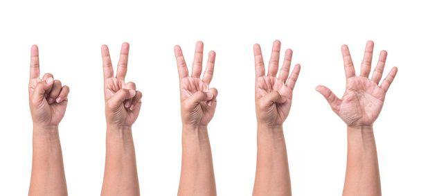 Conjunto de colección de manos humanas mostrando gestos o signo de número
  - Foto, imagen