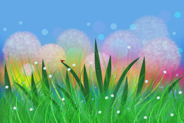Fairy meadow with dandelions - Foto, Bild