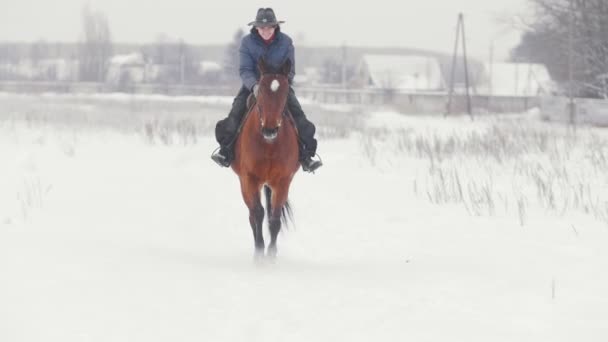 Pferdesport - Reiterin auf Pferd beim Wandern im verschneiten Gelände - Filmmaterial, Video