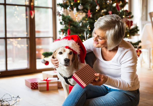 Seniorin öffnet mit Hund Weihnachtsgeschenke. - Foto, Bild