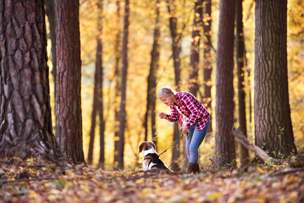 Senior woman with dog on a walk in an autumn forest. - Фото, зображення