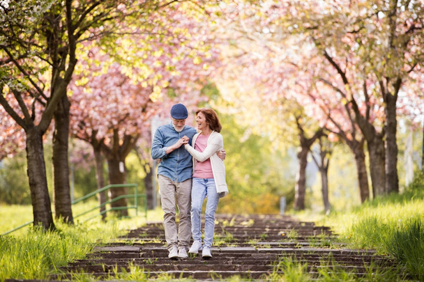 Beautiful senior couple in love outside in spring nature. - Фото, зображення