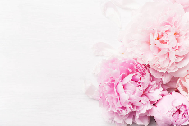 美しいピンク牡丹の花の背景 - 写真・画像
