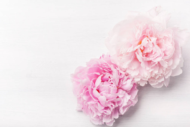 bonito rosa peônia flor fundo - Foto, Imagem