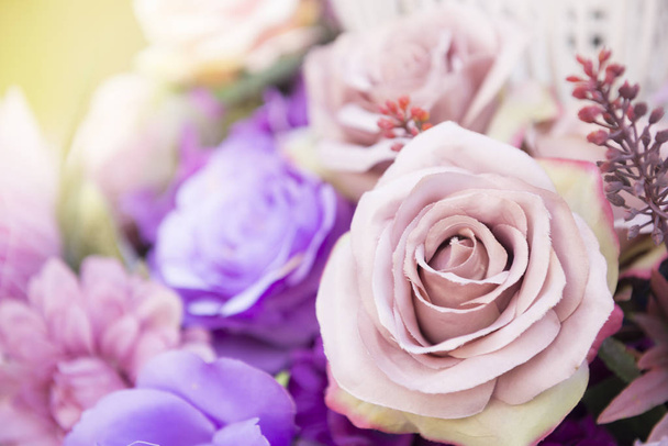 close-up van roze roos bloem.  - Foto, afbeelding