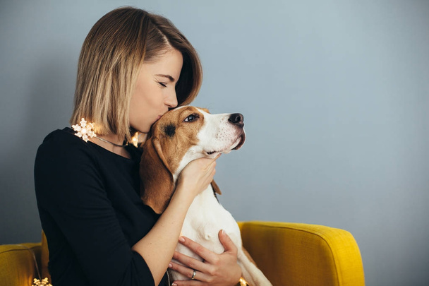 Young woman in black dress hug and kiss beagle puppy on yellow chair with grey wall on background - Fotografie, Obrázek
