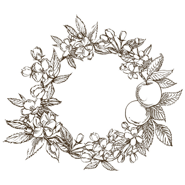 Branches of apple blossom. Floral wreath. Graphic round border. - Vector, Imagen