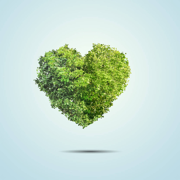 Green tree shaped in heart isolated over blue background - Foto, immagini