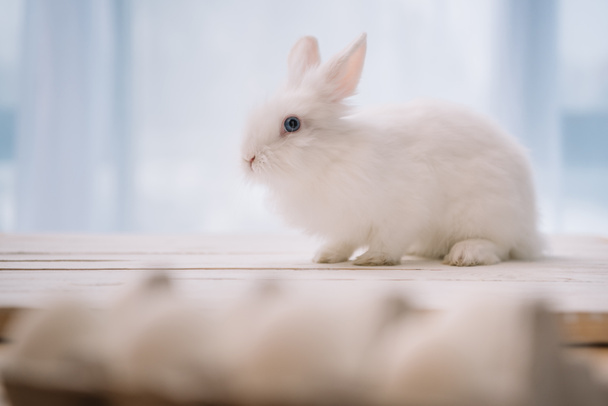 Velikonoční králík sedí na stole s rozmazané Kuřecí vejce na popředí - Fotografie, Obrázek