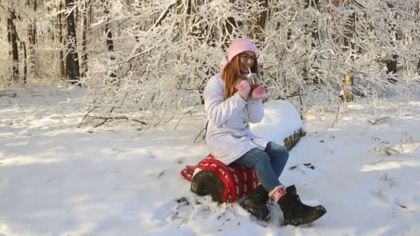 hermosa chica en un sombrero rosa y manoplas en un bosque nevado de invierno beber té
. - Metraje, vídeo